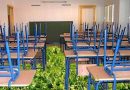 Cierran un colegio en Sevilla por un rebrote de soja